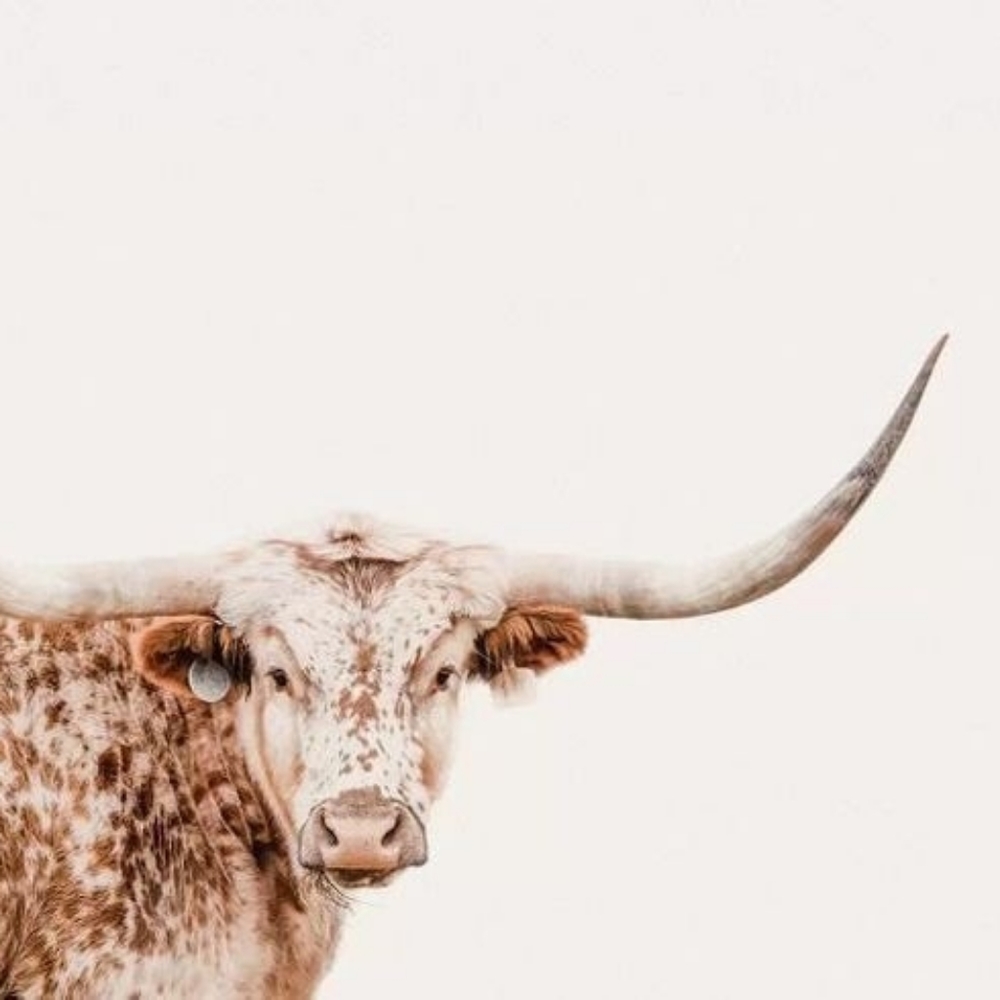 Meet your Posher, Ava